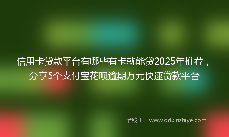 信用卡贷款平台有哪些有卡就能贷2025年推荐，分享5个支付宝花呗逾期万元快速贷款平台
