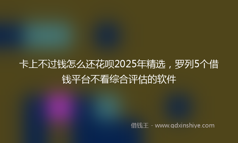 卡上不过钱怎么还花呗2025年精选，罗列5个借钱平台不看综合评估的软件