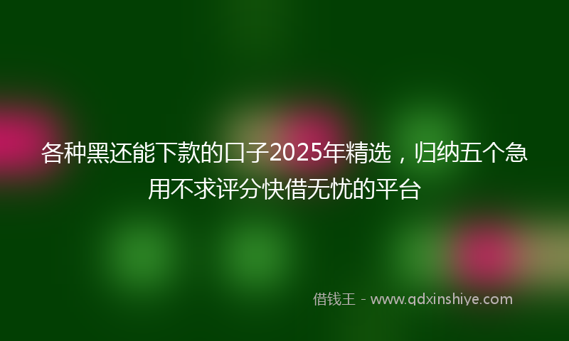 各种黑还能下款的口子2025年精选，归纳五个急用不求评分快借无忧的平台