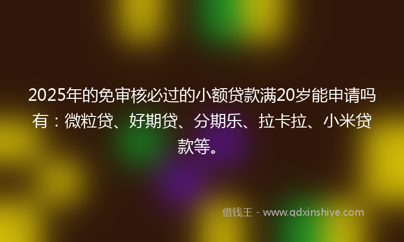 2025年的免审核必过的小额贷款满20岁能申请吗有：微粒贷、好期贷、分期乐、拉卡拉、小米贷款等。