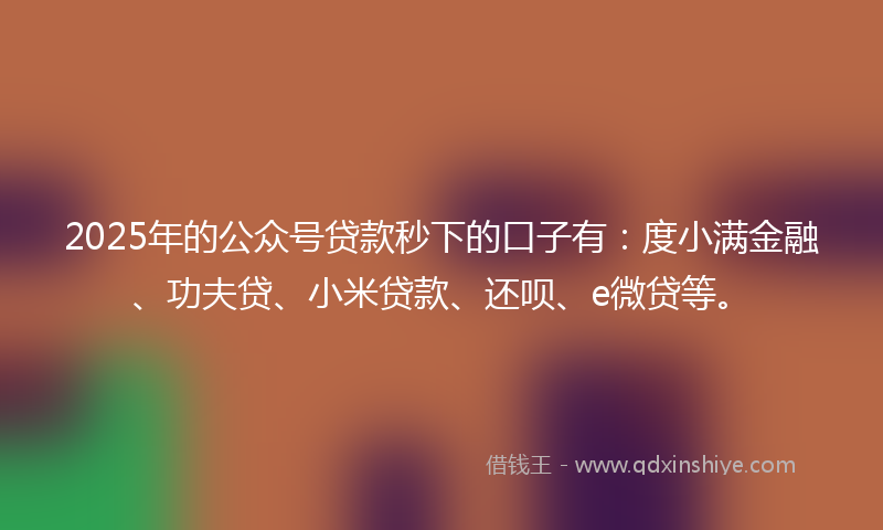2025年的公众号贷款秒下的口子有：度小满金融、功夫贷、小米贷款、还呗、e微贷等。