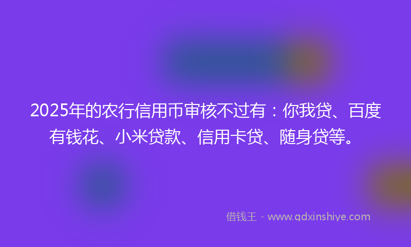2025年的农行信用币审核不过有：你我贷、百度有钱花、小米贷款、信用卡贷、随身贷等。