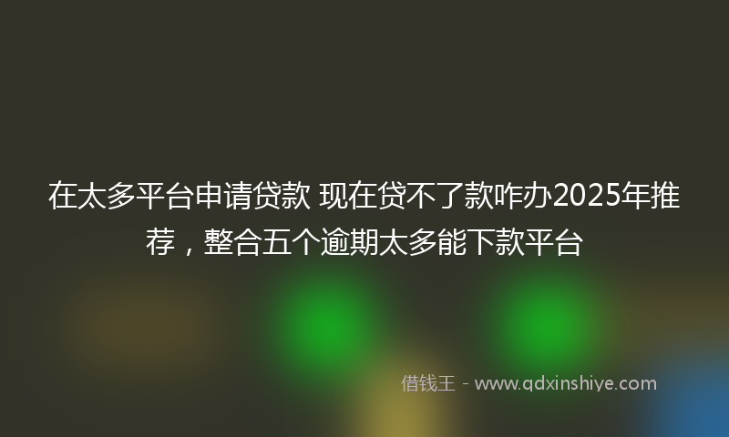 在太多平台申请贷款 现在贷不了款咋办2025年推荐，整合五个逾期太多能下款平台