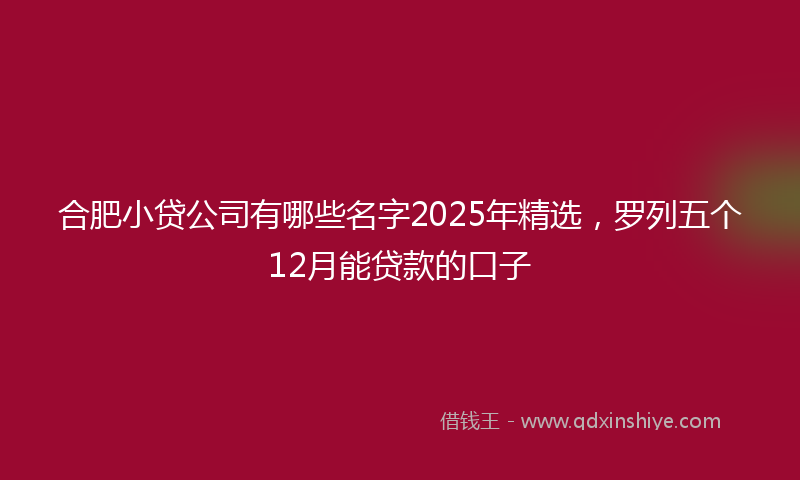 合肥小贷公司有哪些名字2025年精选，罗列五个12月能贷款的口子