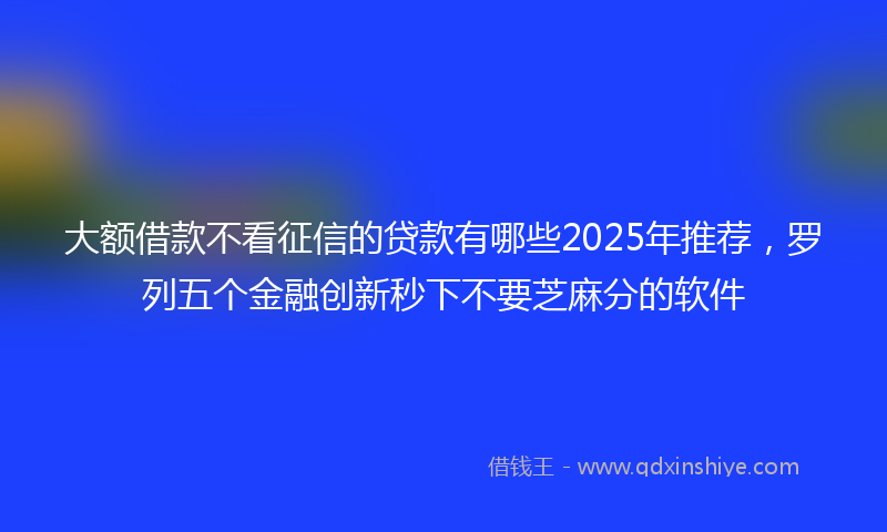 大额借款不看征信的贷款有哪些2025年推荐，罗列五个金融创新秒下不要芝麻分的软件