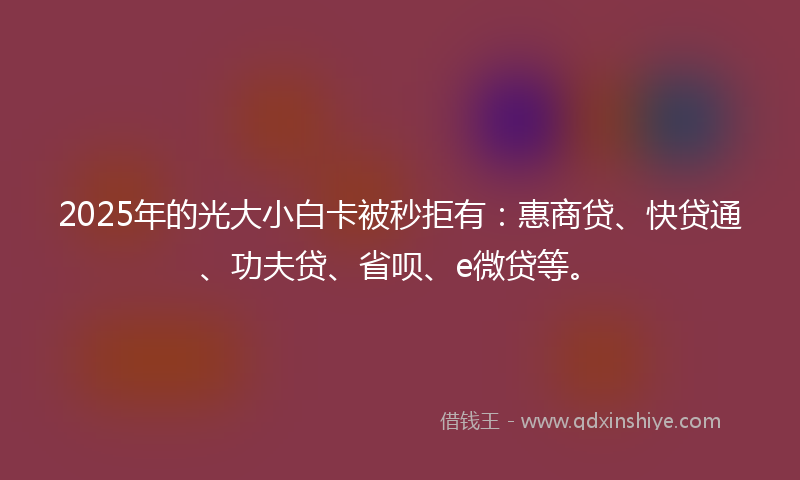 2025年的光大小白卡被秒拒有：惠商贷、快贷通、功夫贷、省呗、e微贷等。