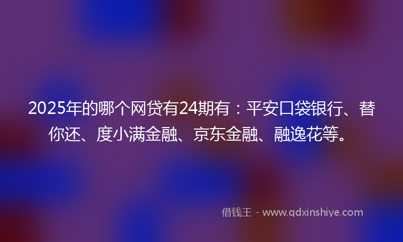 2025年的哪个网贷有24期有：平安口袋银行、替你还、度小满金融、京东金融、融逸花等。