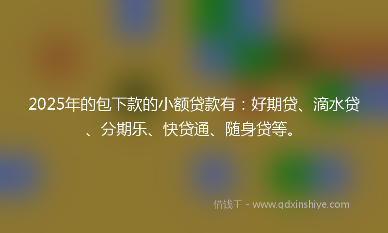 2025年的包下款的小额贷款有：好期贷、滴水贷、分期乐、快贷通、随身贷等。