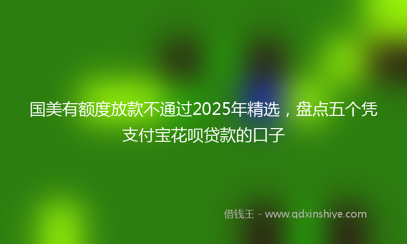 国美有额度放款不通过2025年精选，盘点五个凭支付宝花呗贷款的口子