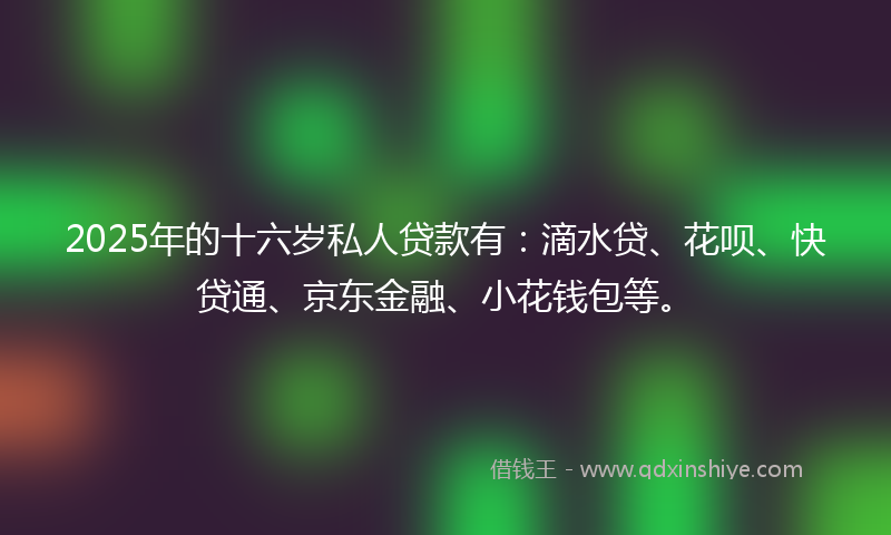 2025年的十六岁私人贷款有：滴水贷、花呗、快贷通、京东金融、小花钱包等。