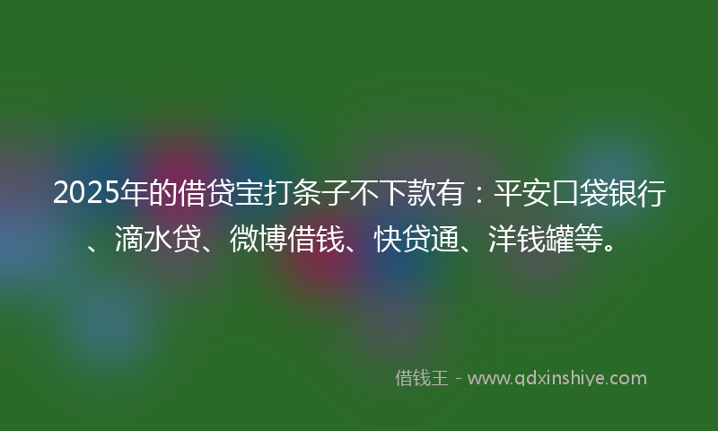 2025年的借贷宝打条子不下款有：平安口袋银行、滴水贷、微博借钱、快贷通、洋钱罐等。