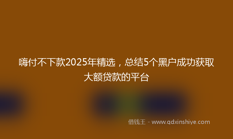 嗨付不下款2025年精选，总结5个黑户成功获取大额贷款的平台