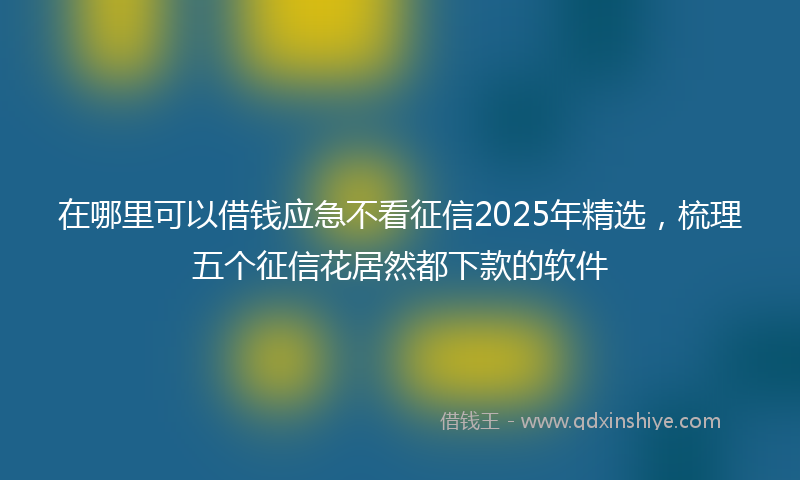 在哪里可以借钱应急不看征信2025年精选，梳理五个征信花居然都下款的软件