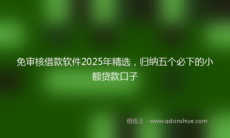 免审核借款软件2025年精选，归纳五个必下的小额贷款口子