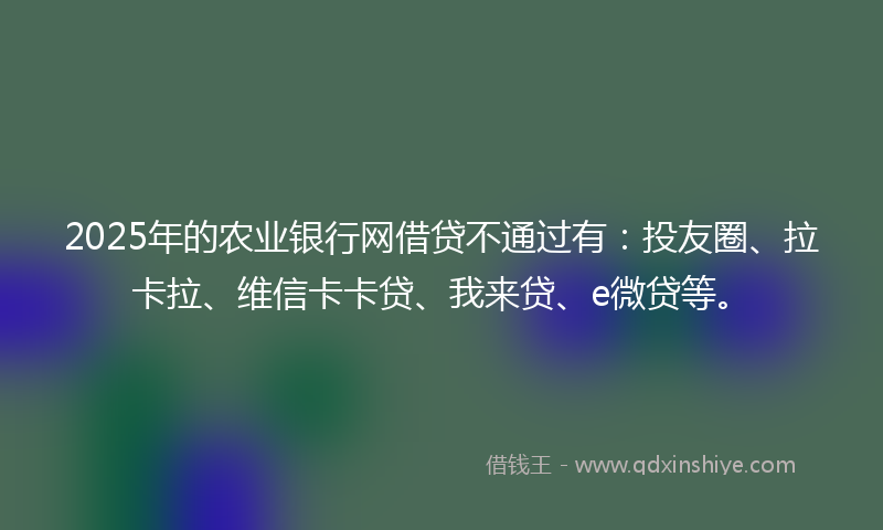 2025年的农业银行网借贷不通过有：投友圈、拉卡拉、维信卡卡贷、我来贷、e微贷等。