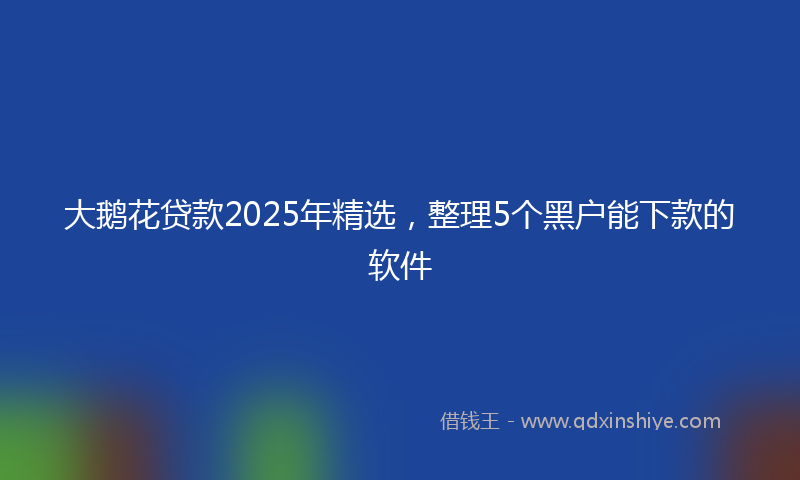 大鹅花贷款2025年精选，整理5个黑户能下款的软件
