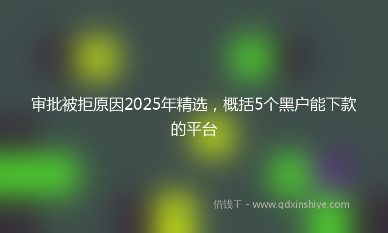 审批被拒原因2025年精选，概括5个黑户能下款的平台