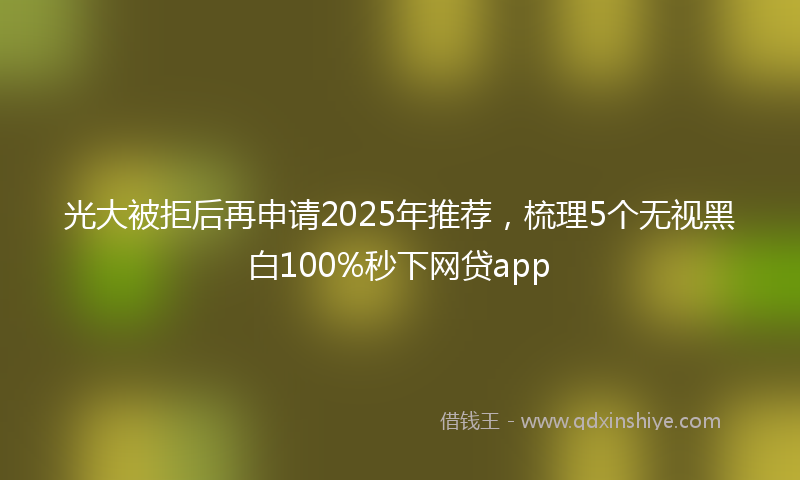 光大被拒后再申请2025年推荐，梳理5个无视黑白100%秒下网贷app