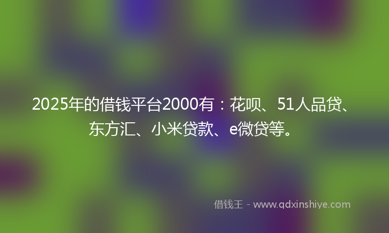 2025年的借钱平台2000有：花呗、51人品贷、东方汇、小米贷款、e微贷等。