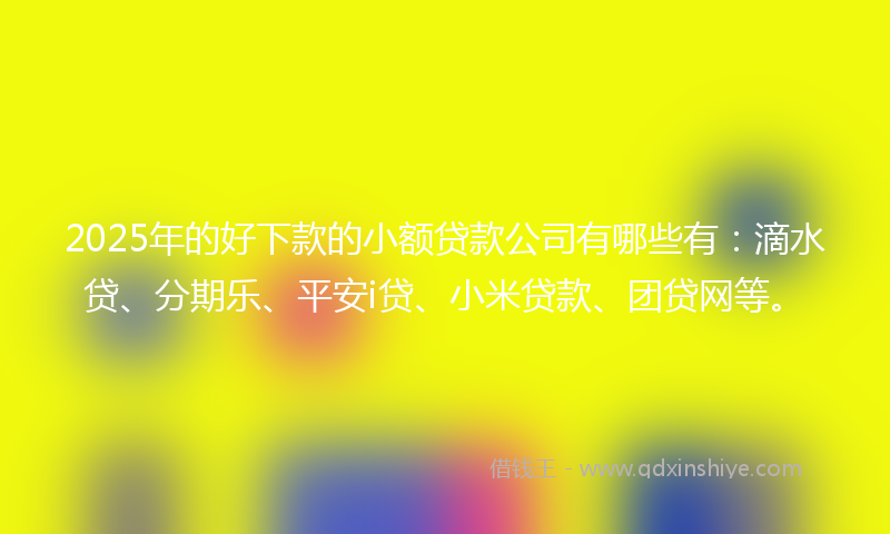 2025年的好下款的小额贷款公司有哪些有：滴水贷、分期乐、平安i贷、小米贷款、团贷网等。