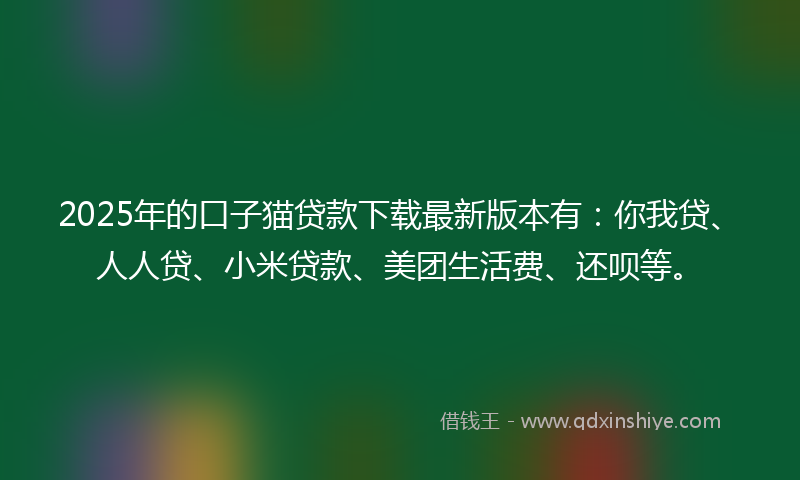 2025年的口子猫贷款下载最新版本有：你我贷、人人贷、小米贷款、美团生活费、还呗等。