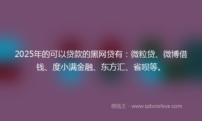 2025年的可以贷款的黑网贷有：微粒贷、微博借钱、度小满金融、东方汇、省呗等。