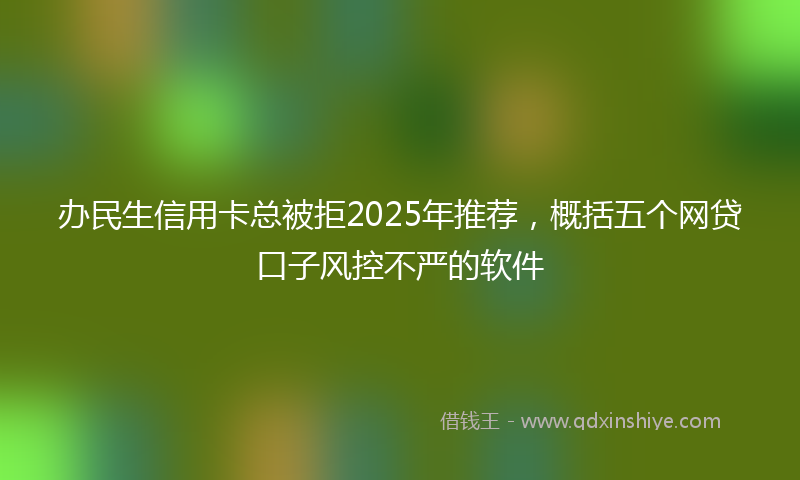 办民生信用卡总被拒2025年推荐，概括五个网贷口子风控不严的软件