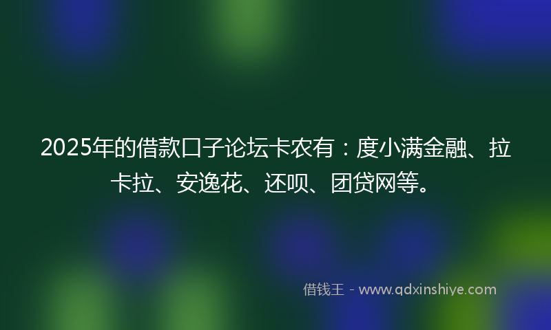 2025年的借款口子论坛卡农有：度小满金融、拉卡拉、安逸花、还呗、团贷网等。