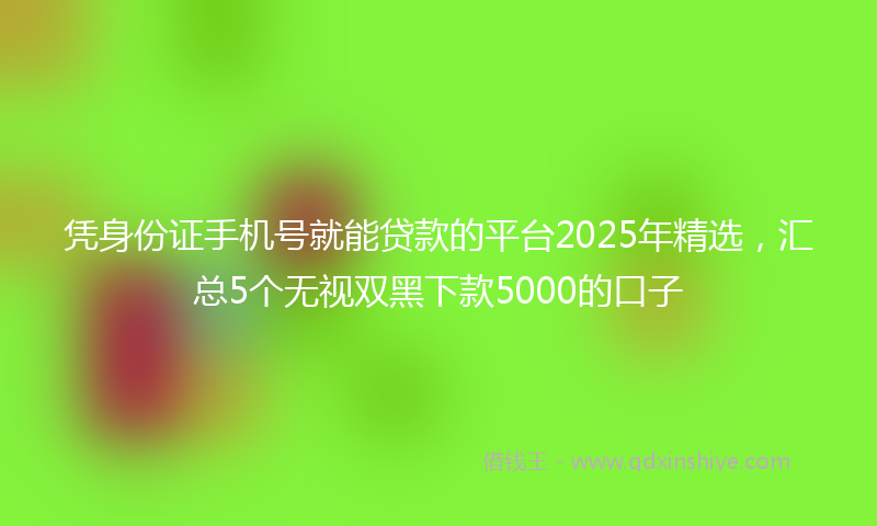 凭身份证手机号就能贷款的平台2025年精选，汇总5个无视双黑下款5000的口子