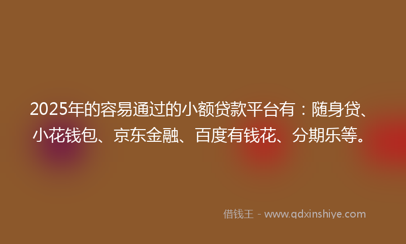 2025年的容易通过的小额贷款平台有：随身贷、小花钱包、京东金融、百度有钱花、分期乐等。