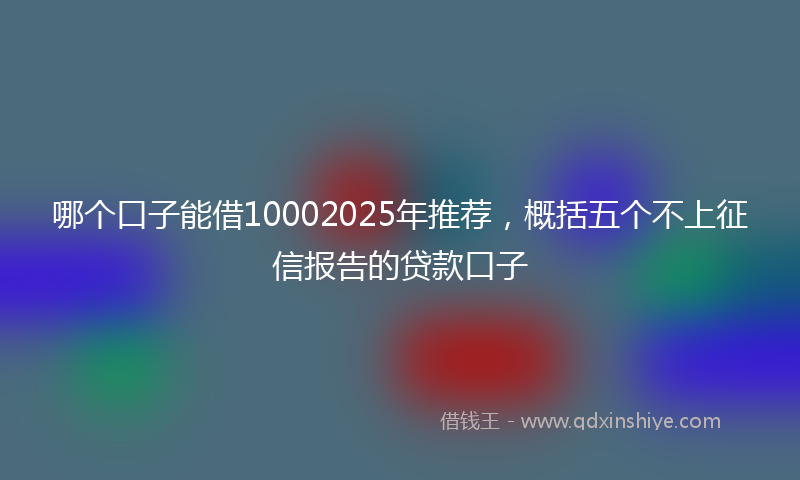 哪个口子能借10002025年推荐，概括五个不上征信报告的贷款口子