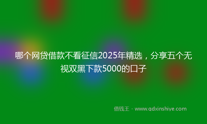 哪个网贷借款不看征信2025年精选，分享五个无视双黑下款5000的口子