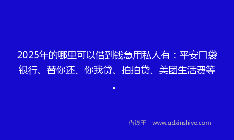 2025年的哪里可以借到钱急用私人有：平安口袋银行、替你还、你我贷、拍拍贷、美团生活费等。