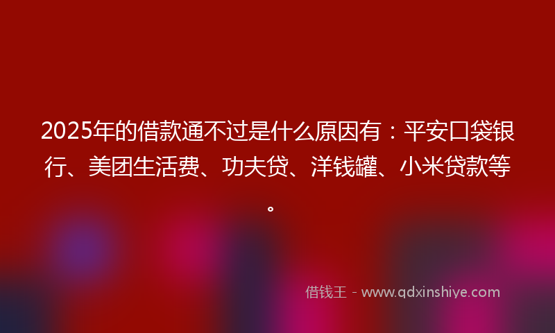 2025年的借款通不过是什么原因有：平安口袋银行、美团生活费、功夫贷、洋钱罐、小米贷款等。