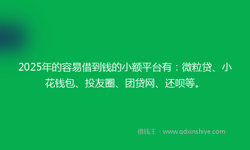 2025年的容易借到钱的小额平台有：微粒贷、小花钱包、投友圈、团贷网、还呗等。