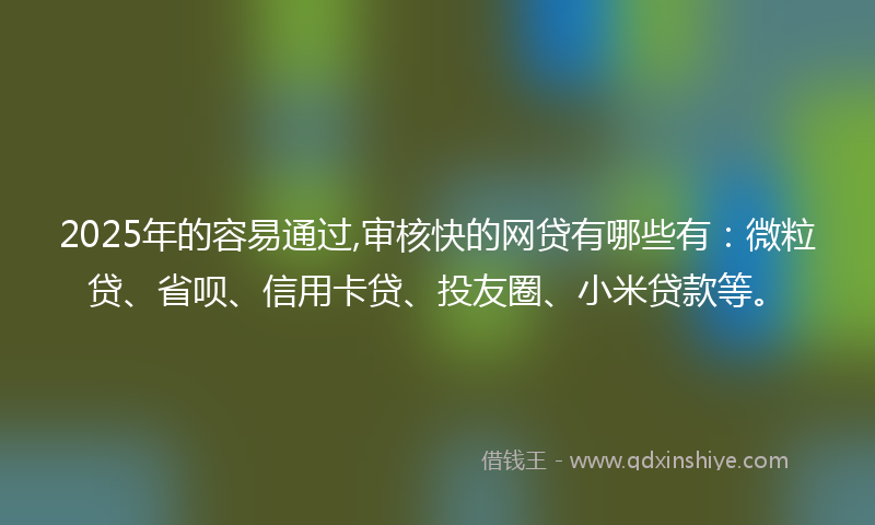 2025年的容易通过,审核快的网贷有哪些有：微粒贷、省呗、信用卡贷、投友圈、小米贷款等。