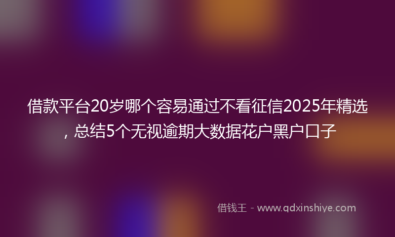 借款平台20岁哪个容易通过不看征信2025年精选，总结5个无视逾期大数据花户黑户口子