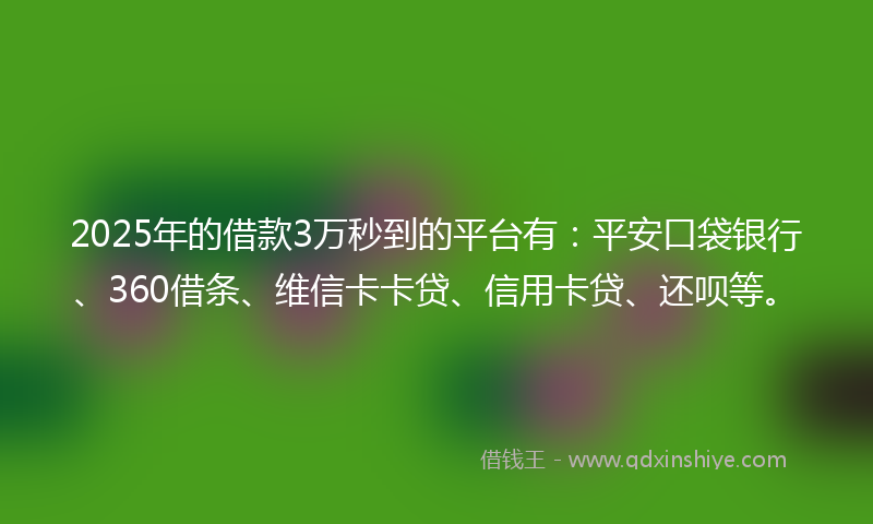 2025年的借款3万秒到的平台有：平安口袋银行、360借条、维信卡卡贷、信用卡贷、还呗等。