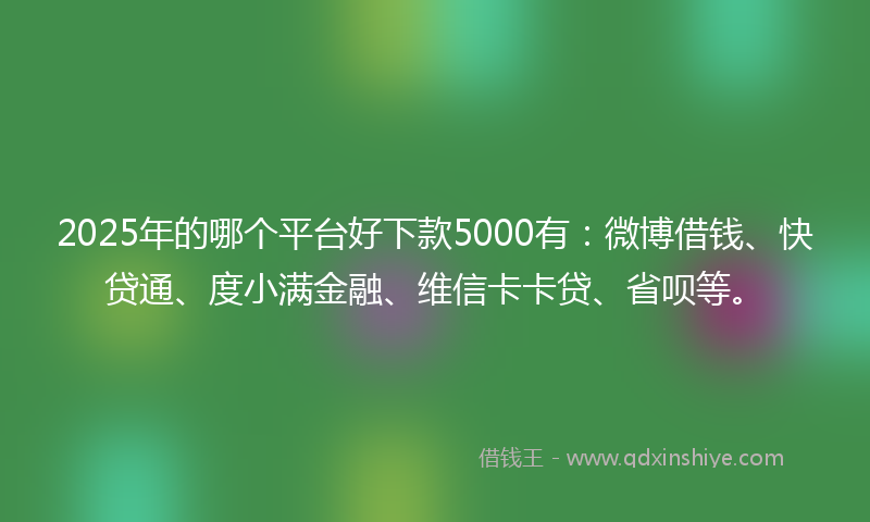 2025年的哪个平台好下款5000有：微博借钱、快贷通、度小满金融、维信卡卡贷、省呗等。