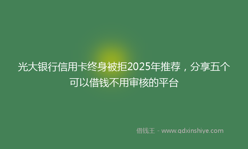 光大银行信用卡终身被拒2025年推荐，分享五个可以借钱不用审核的平台