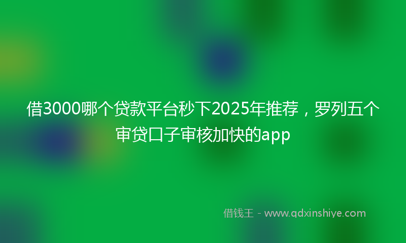 借3000哪个贷款平台秒下2025年推荐，罗列五个审贷口子审核加快的app