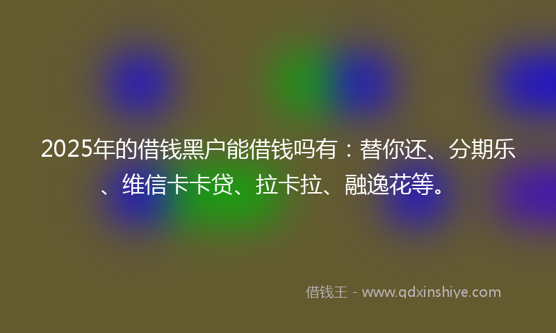 2025年的借钱黑户能借钱吗有：替你还、分期乐、维信卡卡贷、拉卡拉、融逸花等。