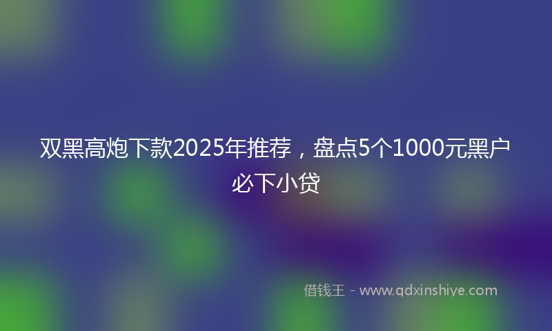 双黑高炮下款2025年推荐，盘点5个1000元黑户必下小贷