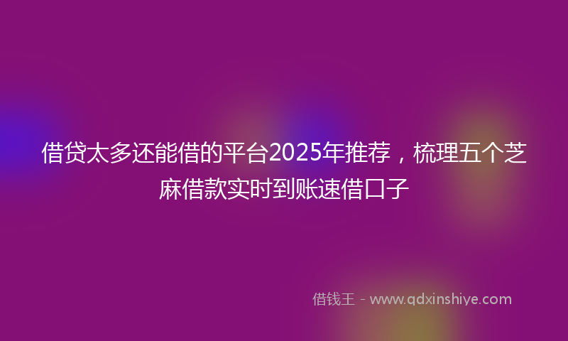 借贷太多还能借的平台2025年推荐，梳理五个芝麻借款实时到账速借口子