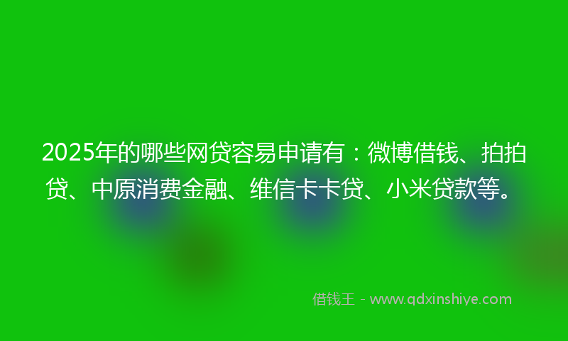 2025年的哪些网贷容易申请有：微博借钱、拍拍贷、中原消费金融、维信卡卡贷、小米贷款等。