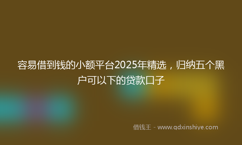 容易借到钱的小额平台2025年精选，归纳五个黑户可以下的贷款口子