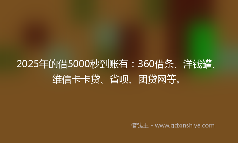 2025年的借5000秒到账有：360借条、洋钱罐、维信卡卡贷、省呗、团贷网等。