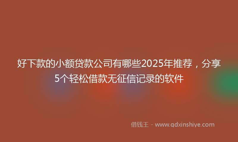 好下款的小额贷款公司有哪些2025年推荐，分享5个轻松借款无征信记录的软件