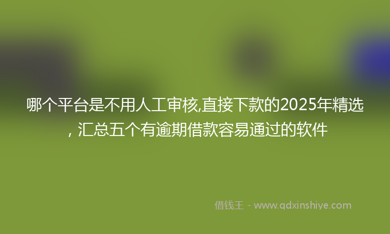 哪个平台是不用人工审核,直接下款的2025年精选，汇总五个有逾期借款容易通过的软件