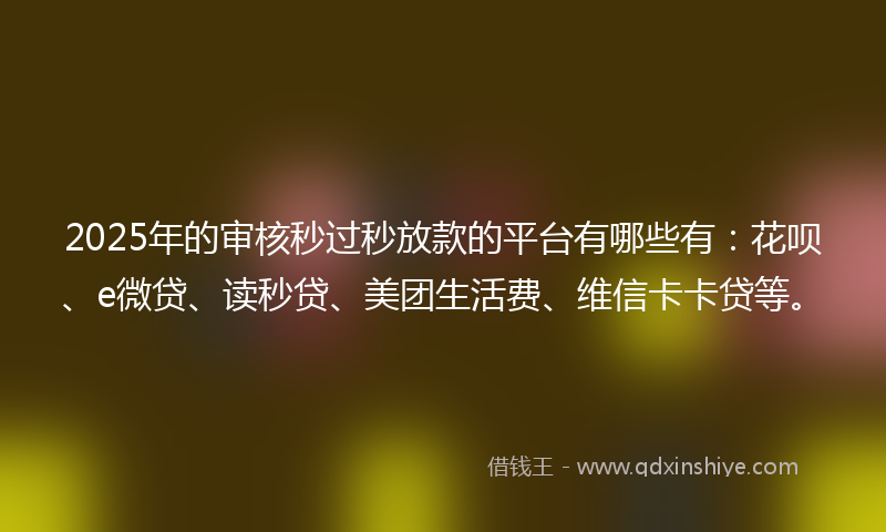 2025年的审核秒过秒放款的平台有哪些有：花呗、e微贷、读秒贷、美团生活费、维信卡卡贷等。